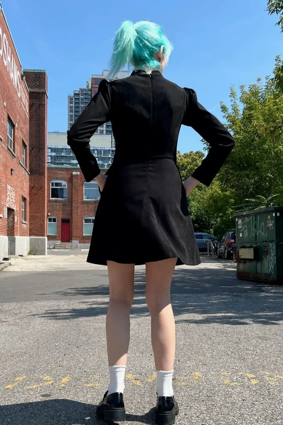 BIRDS OF NORTH AMERICA Topaz Dress - Black