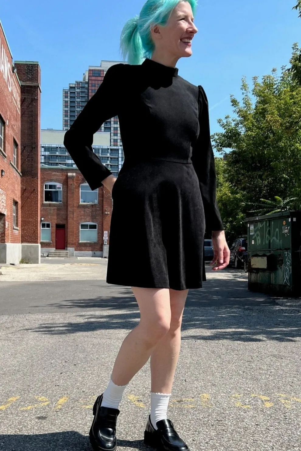 BIRDS OF NORTH AMERICA Topaz Dress - Black