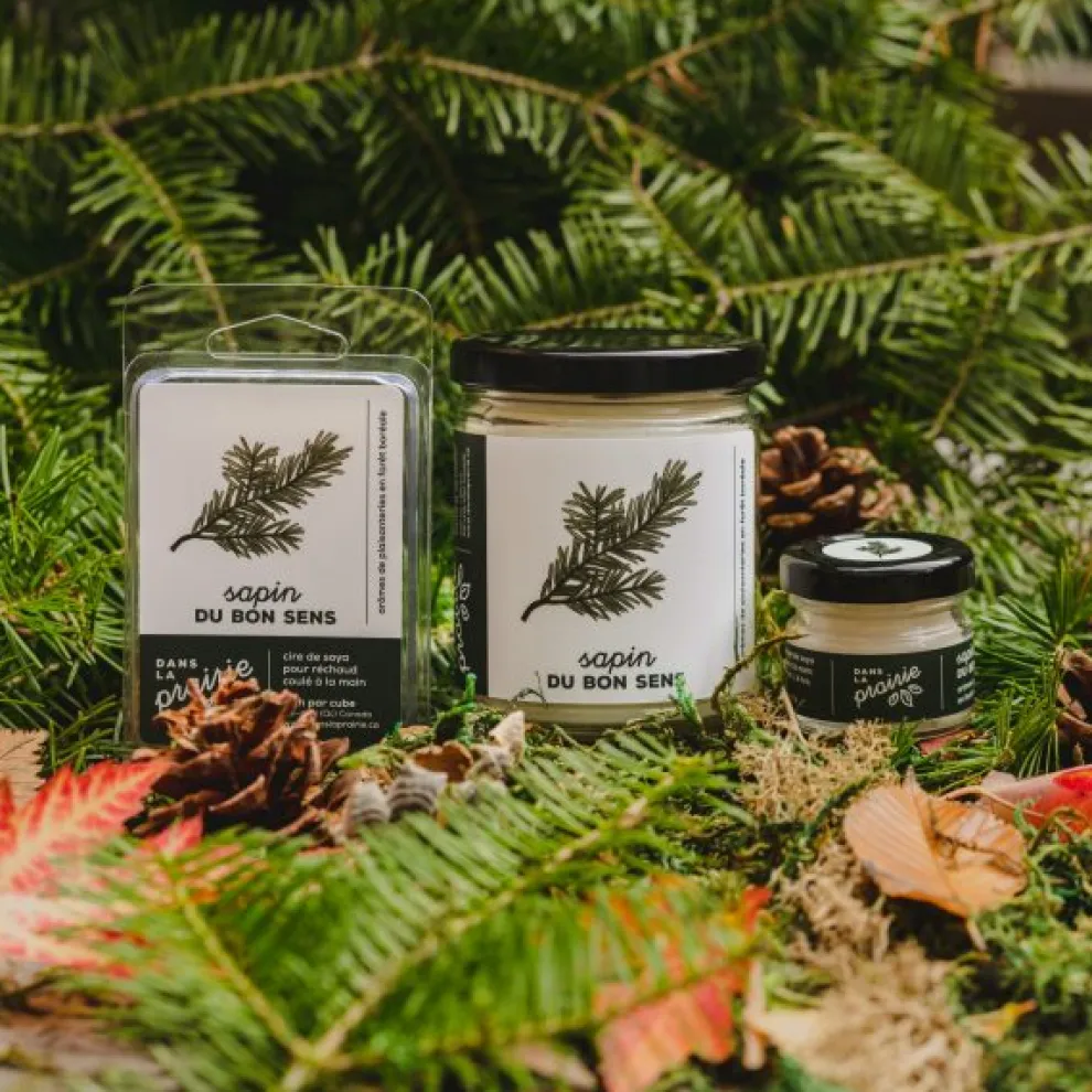 IN THE PRAIRIE Common Sense Fir Candle